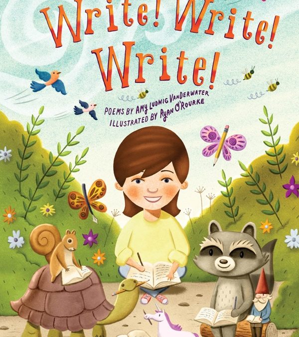 Write Write Write book cover