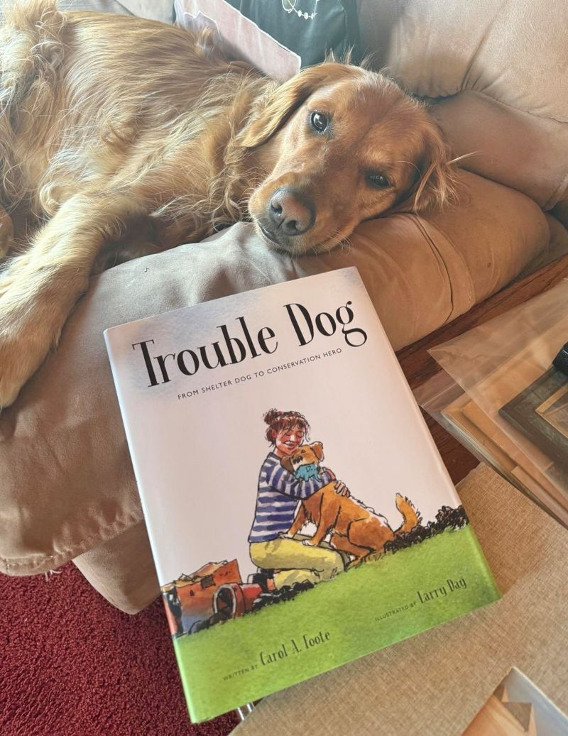 Carol's dog with book