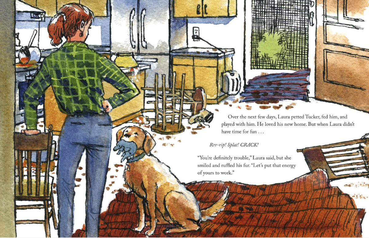 Trouble Dog gets in trouble