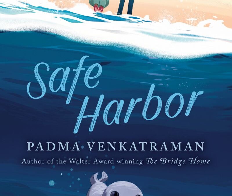Safe Harbor